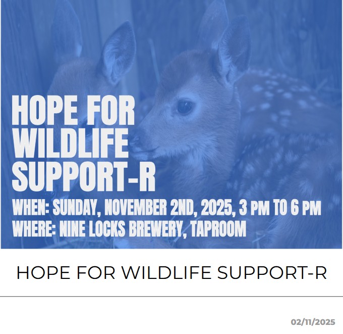 SUPPORT-R MAIN PAGE POST NOV 2ND